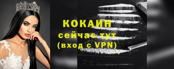 дживик Каменка