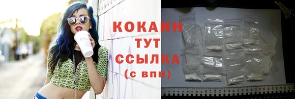 дживик Каменка