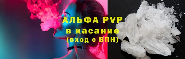 дживик Каменка