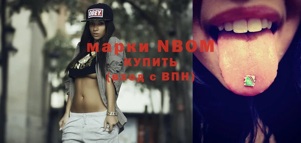дживик Каменка