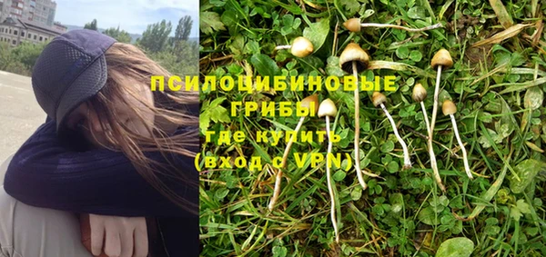 MESCALINE Каменногорск