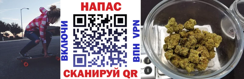 Купить где  Буйнакск  Бошки Шишки план 
